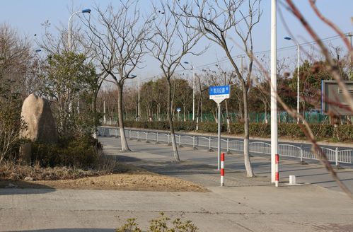 交通設(shè)施改造 道路沿線景觀提升 浦東這個鎮(zhèn)民生實(shí)事項(xiàng)目