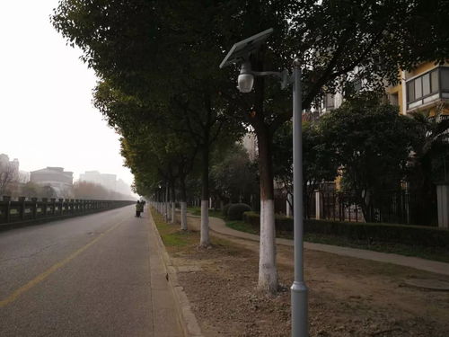 沙浦河邊安裝太陽能路燈進(jìn)展 顧新路道路監(jiān)控設(shè)施升級 平流霧下的新顧城 沙浦路新裝修永輝生活超市 友誼西路劃道路標(biāo)識線