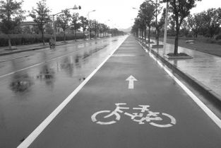 14年苦心經(jīng)營崇明成騎行者天堂