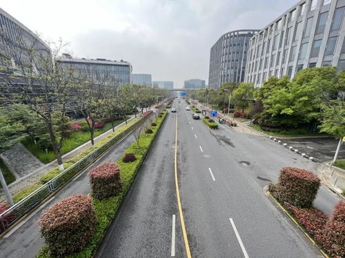 閔行區新增8條精品道路，累計創建33條，道路設施全面升級